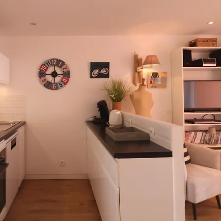 Apartment Magnifique 2 Pieces Renove Avec Terrasse Et Acces - Fr-1-472a-268